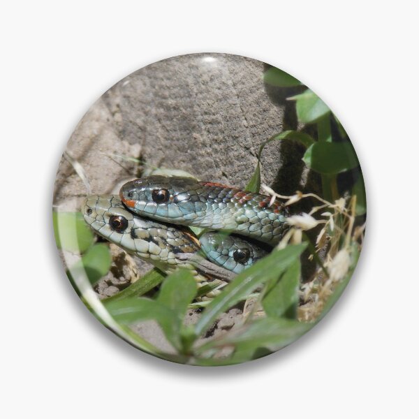 Item preview, Snake Family designed and sold by Gharial.