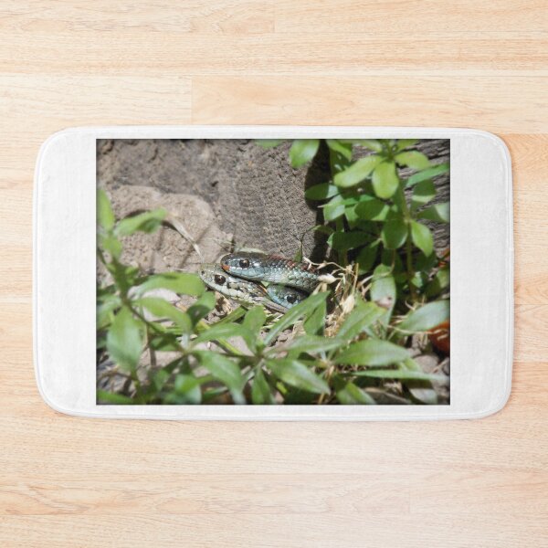Item preview, Snake Family designed and sold by Gharial.