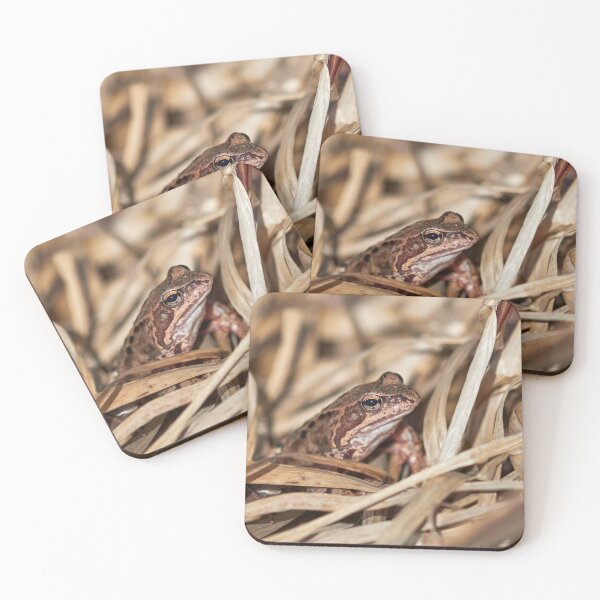 Item preview, Hidden in the middle. European common frog designed and sold by Jouko Lehto Photography.