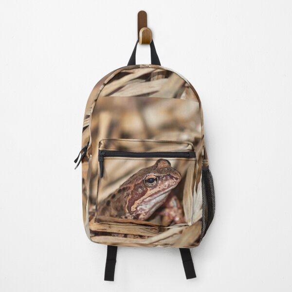 Item preview, Hidden in the middle. European common frog designed and sold by Jouko Lehto Photography.