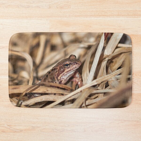 Item preview, Hidden in the middle. European common frog designed and sold by Jouko Lehto Photography.