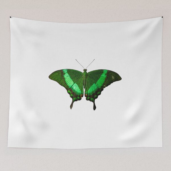 Item preview, Green Butterfly designed and sold by FilipeFerreira.