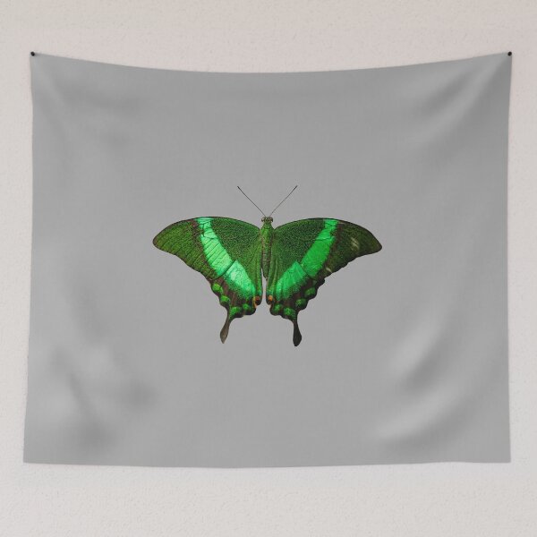 Item preview, Green Butterfly (Grey BG) designed and sold by FilipeFerreira.