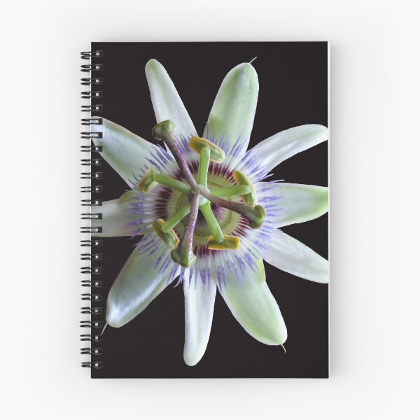 Item preview, Flor de la Passion - Passion Flower designed and sold by Madalena Lobao-Tello.