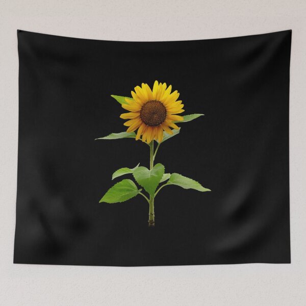 Item preview, Yellow Cosmos Flowers Spring Gift Beautiful Nature Black designed and sold by yasmh.