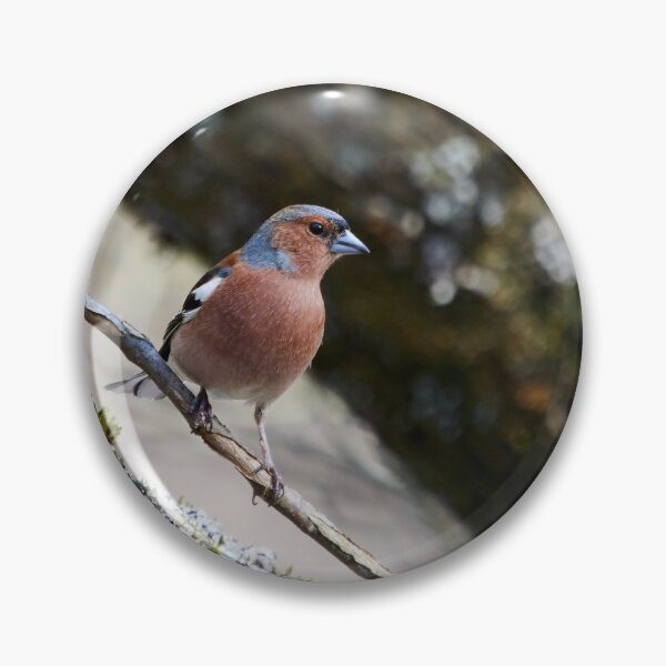 Item preview, Finding the place with fallen trunks. Chaffinch designed and sold by Jouko Lehto Photography.