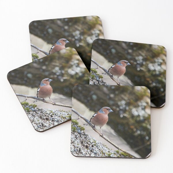 Item preview, Finding the place with fallen trunks. Chaffinch designed and sold by Jouko Lehto Photography.