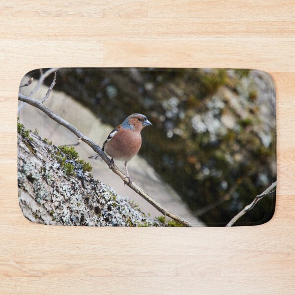 Item preview, Finding the place with fallen trunks. Chaffinch designed and sold by Jouko Lehto Photography.