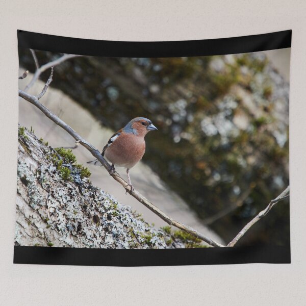 Item preview, Finding the place with fallen trunks. Chaffinch designed and sold by Jouko Lehto Photography.
