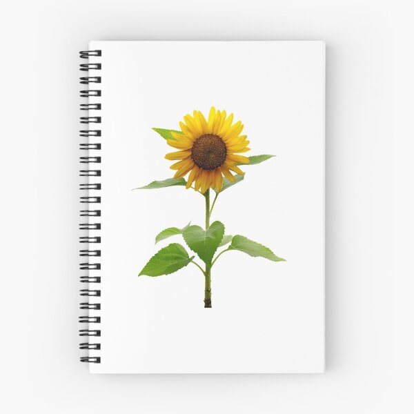 Item preview, Yellow Cosmos Flowers Spring Gift Beautiful Nature White designed and sold by yasmh.