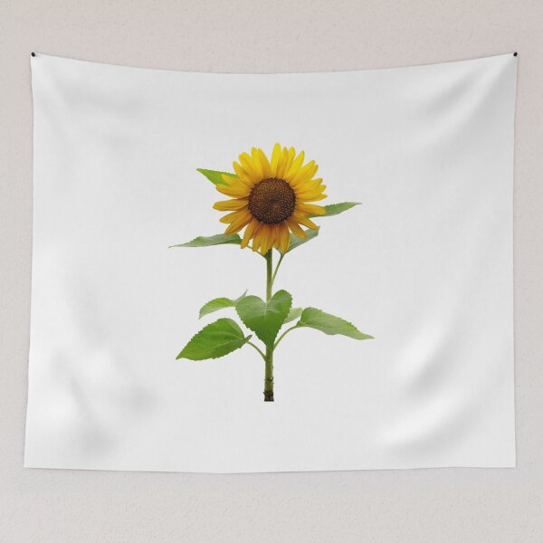 Item preview, Yellow Cosmos Flowers Spring Gift Beautiful Nature White designed and sold by yasmh.