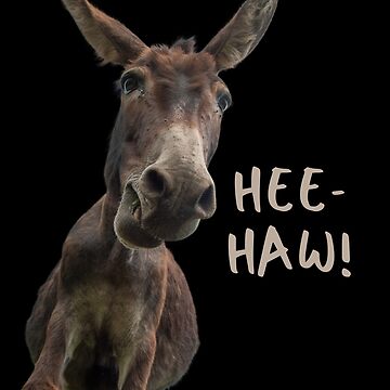 Hee Haw! Laughing Donkey! | Poster