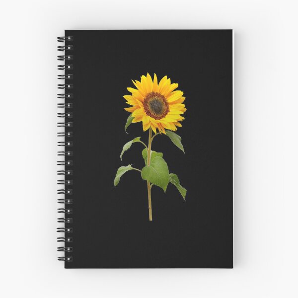 Item preview, Yellow Cosmos Flowers Spring Gift Beautiful Nature Black designed and sold by yasmh.