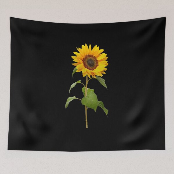 Item preview, Yellow Cosmos Flowers Spring Gift Beautiful Nature Black designed and sold by yasmh.