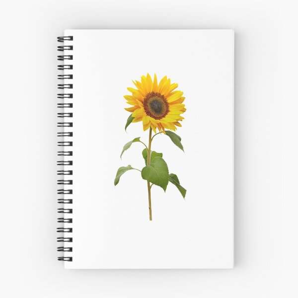 Item preview, Yellow Cosmos Flowers Spring Gift Beautiful Nature White designed and sold by yasmh.