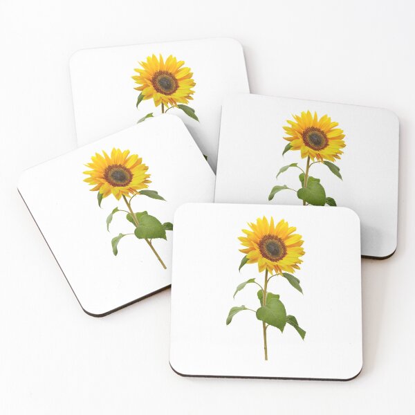 Item preview, Yellow Cosmos Flowers Spring Gift Beautiful Nature White designed and sold by yasmh.