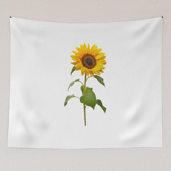 Item preview, Yellow Cosmos Flowers Spring Gift Beautiful Nature White designed and sold by yasmh.