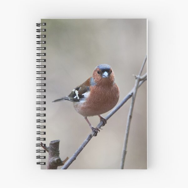 Item preview, Easy tones. Chaffinch designed and sold by Jouko Lehto Photography.