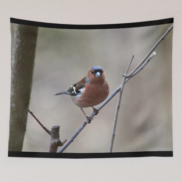 Item preview, Easy tones. Chaffinch designed and sold by Jouko Lehto Photography.