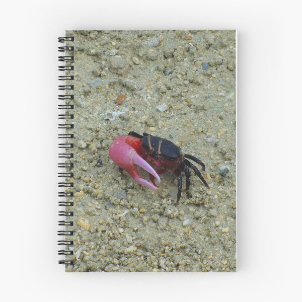 Item preview, Cute Fiddler Crab designed and sold by KaSaPo.