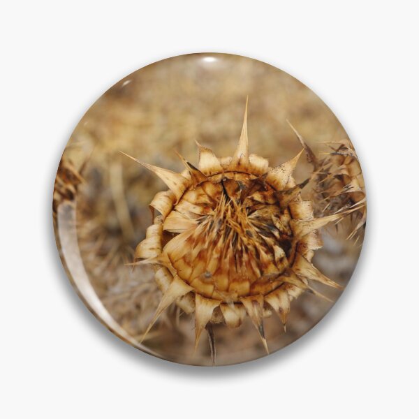 Item preview, dry flower designed and sold by laura-S.