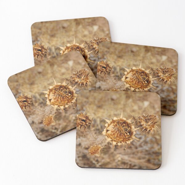 Item preview, dry flower designed and sold by laura-S.