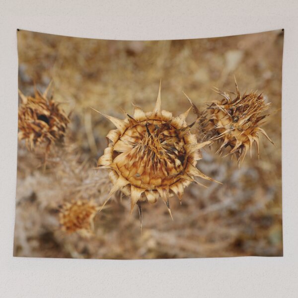 Item preview, dry flower designed and sold by laura-S.
