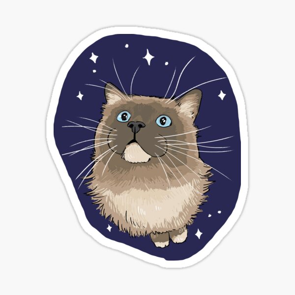 Starry Fluffy Sticker