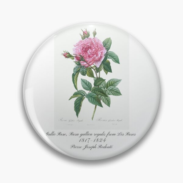 Item preview, Gallic Rose, Rosa gallica regalis from Les Roses Pierre-Joseph Redouté Design designed and sold by EarthArtDesigns.