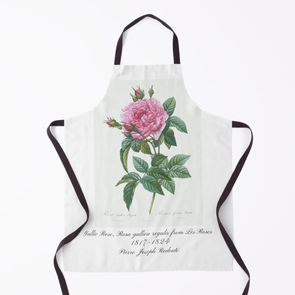 Item preview, Gallic Rose, Rosa gallica regalis from Les Roses Pierre-Joseph Redouté Design designed and sold by EarthArtDesigns.
