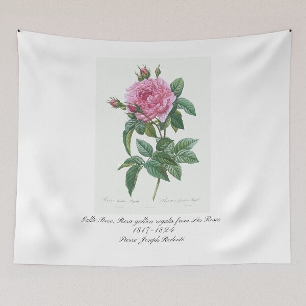 Item preview, Gallic Rose, Rosa gallica regalis from Les Roses Pierre-Joseph Redouté Design designed and sold by EarthArtDesigns.