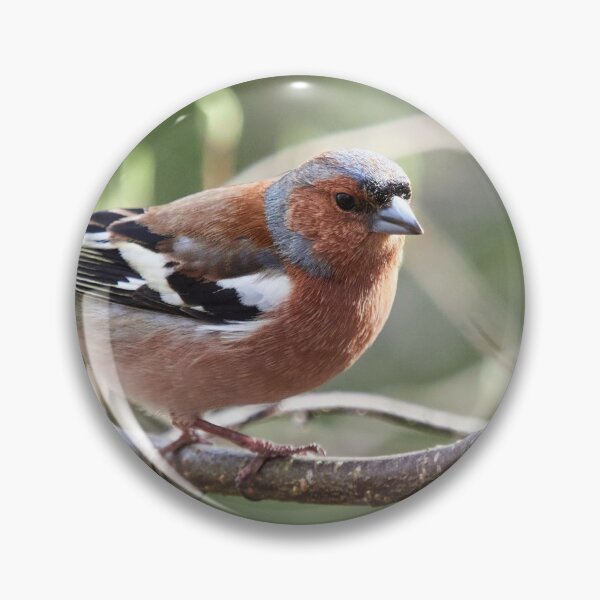 Item preview, Springway. Chaffinch designed and sold by Jouko Lehto Photography.