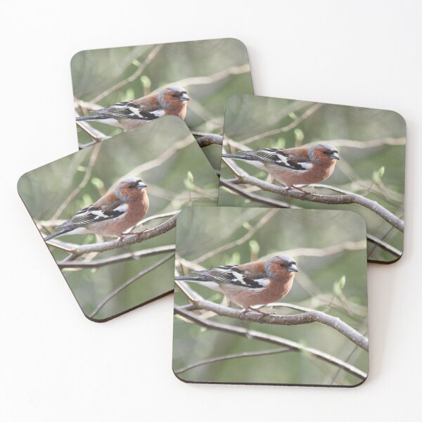 Item preview, Springway. Chaffinch designed and sold by Jouko Lehto Photography.