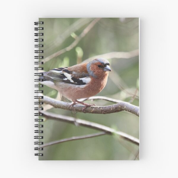 Item preview, Springway. Chaffinch designed and sold by Jouko Lehto Photography.