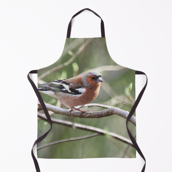 Item preview, Springway. Chaffinch designed and sold by Jouko Lehto Photography.