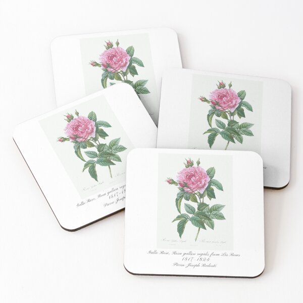 Item preview, Gallic Rose, Rosa gallica regalis from Les Roses Pierre-Joseph Redouté Design designed and sold by EarthArtDesigns.