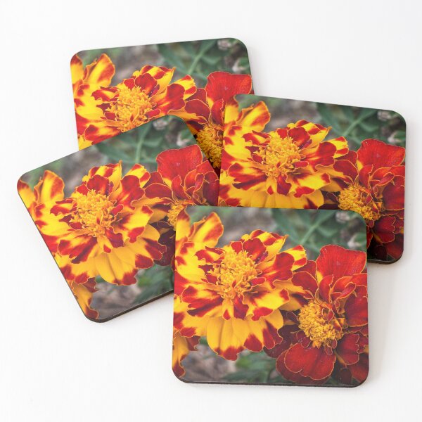 Item preview, Red and yellow mum's flowers designed and sold by Dimo Petrov.