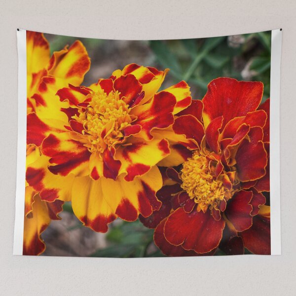 Item preview, Red and yellow mum's flowers designed and sold by Dimo Petrov.