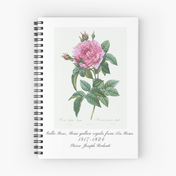 Item preview, Gallic Rose, Rosa gallica regalis from Les Roses Pierre-Joseph Redouté Design designed and sold by EarthArtDesigns.
