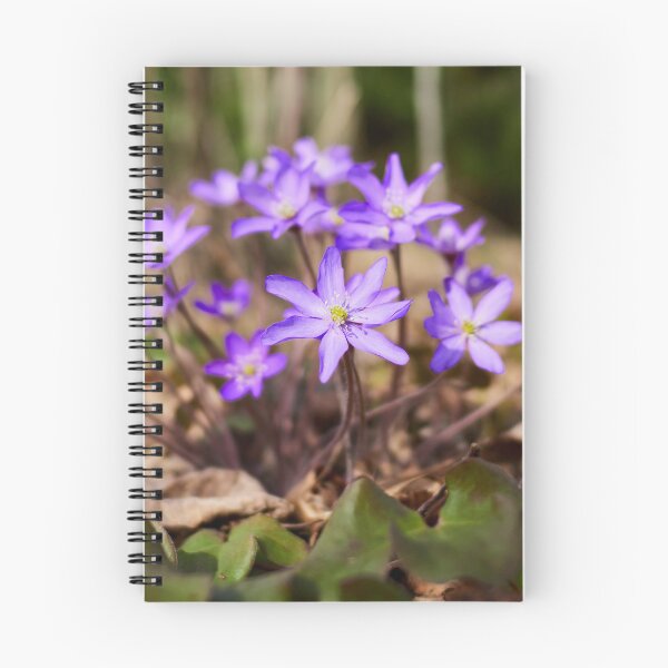 Item preview, Hepatica blues and purples designed and sold by Jouko Lehto Photography.