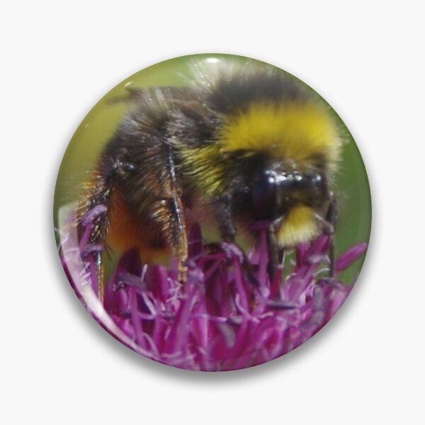 Item preview, Bumble Bee On Allium Flower designed and sold by lezvee.