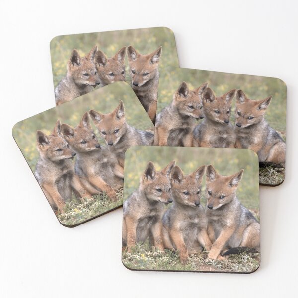 Item preview, Three Black Backed Jackal Pups in South Africa designed and sold by South-Africa.
