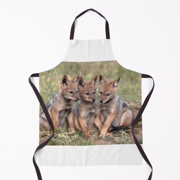 Item preview, Three Black Backed Jackal Pups in South Africa designed and sold by South-Africa.
