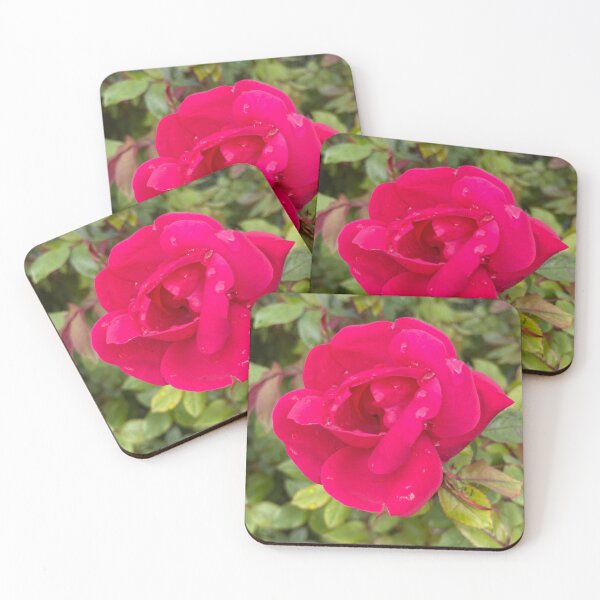 Item preview, Water on Rose designed and sold by mowissawynnie.