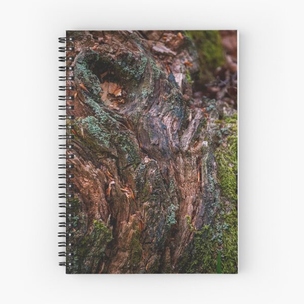 Artikelvorschau, Holzmuster entworfen und verkauft von spcphotography.