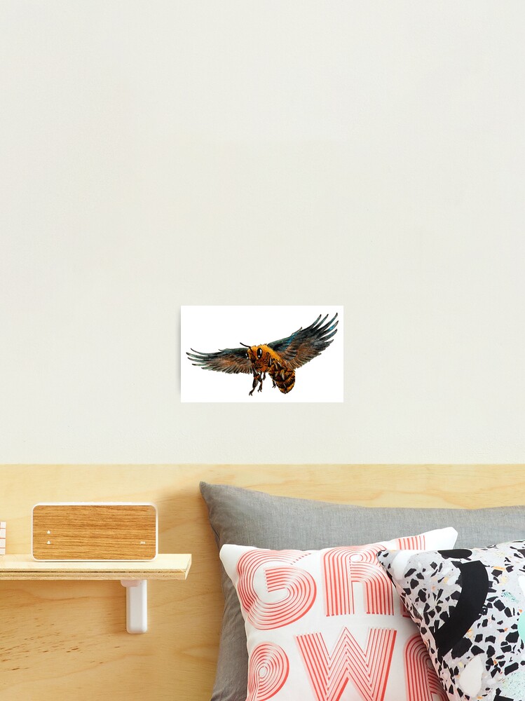 Thumbnail 2 of 3, Photographic Print, Crowbee designed and sold by Reymonkey.
