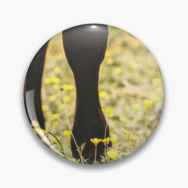 Item preview, Tiptoeing designed and sold by Jim Love.