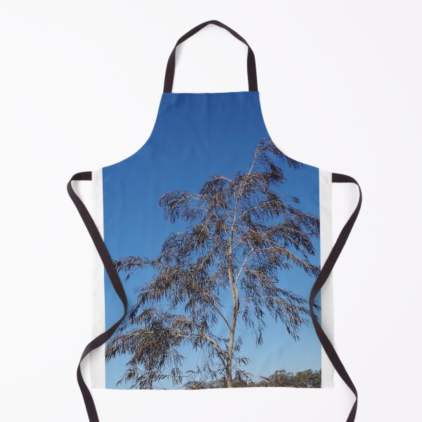 Item preview, A Feathery Willow Myrtle (Agonis flexuosa) designed and sold by lezvee.