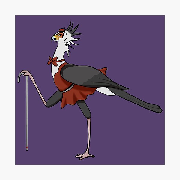 Cabaret Secretary Bird Photographic Print