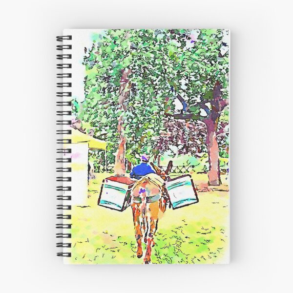 Item preview, Donkey for garbage collection designed and sold by Giuseppe Cocco.